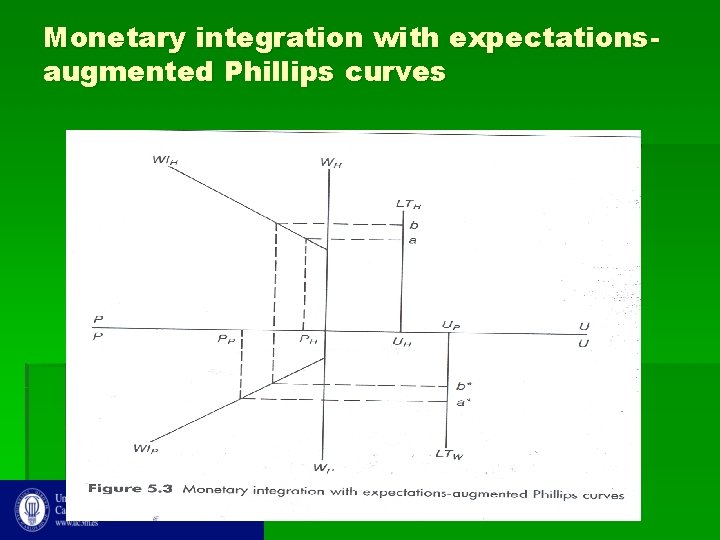Monetary integration with expectationsaugmented Phillips curves 