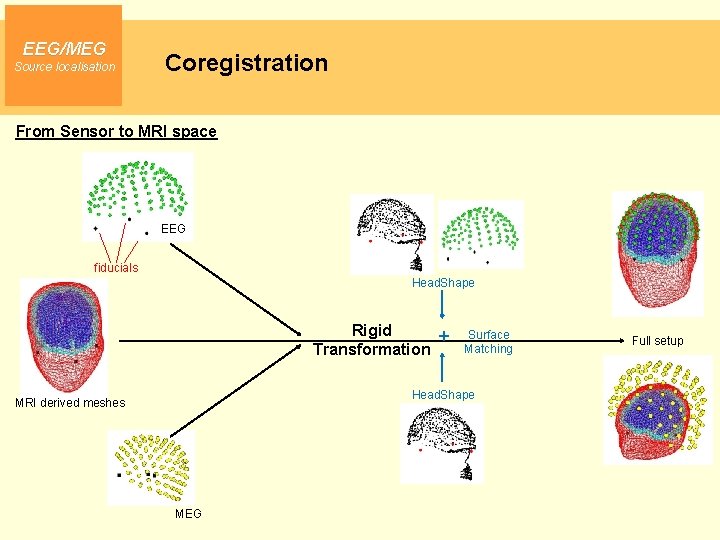 EEG/MEG Source localisation Coregistration From Sensor to MRI space EEG fiducials Head. Shape Rigid