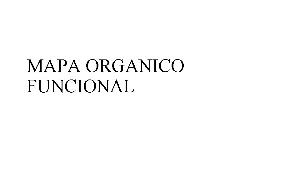 MAPA ORGANICO FUNCIONAL 