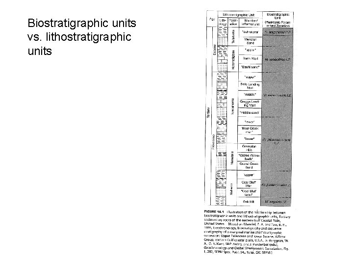 Biostratigraphic units vs. lithostratigraphic units 