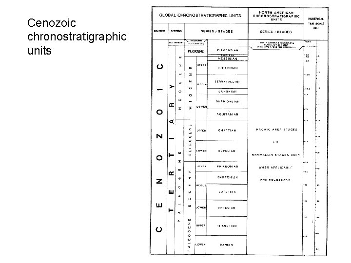 Cenozoic chronostratigraphic units 