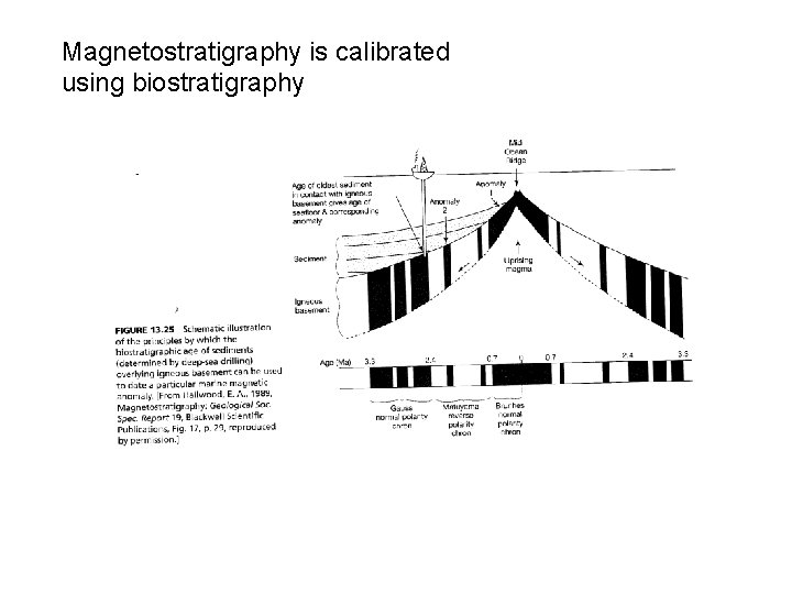 Magnetostratigraphy is calibrated using biostratigraphy 