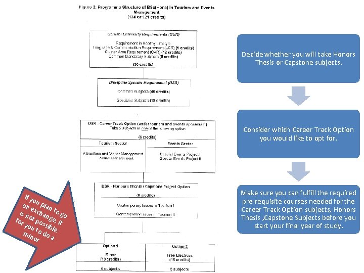 Decide whether you will take Honors Thesis or Capstone subjects. Consider which Career Track