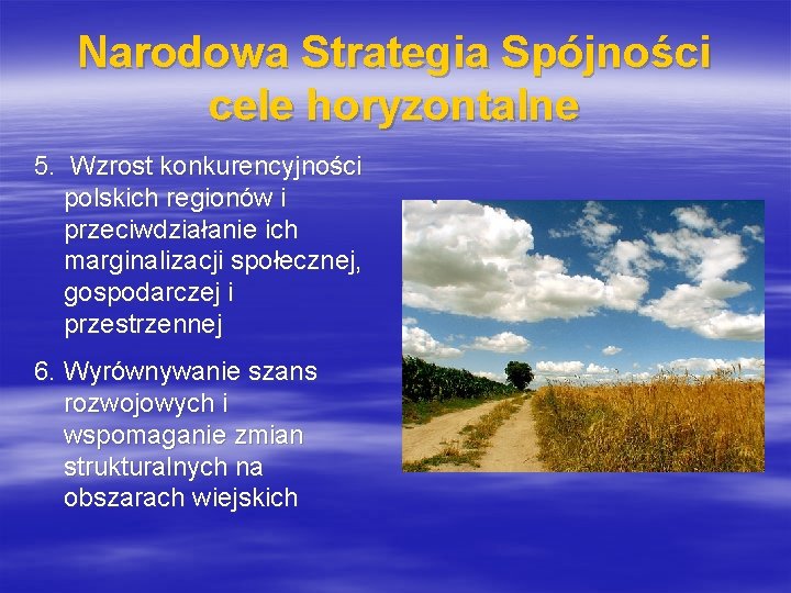 Narodowa Strategia Spójności cele horyzontalne 5. Wzrost konkurencyjności polskich regionów i przeciwdziałanie ich marginalizacji