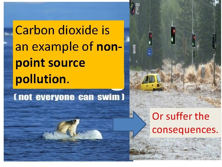 Carbon dioxide is an example of nonpoint source pollution. Or suffer the consequences. 