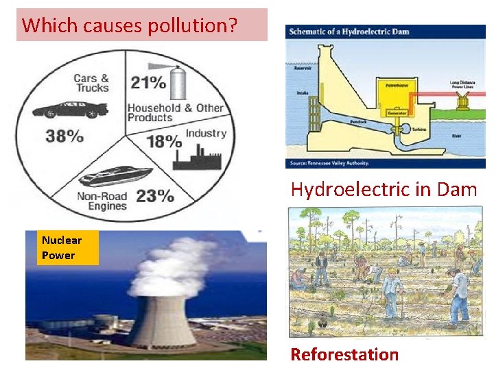 Which causes pollution? Hydroelectric in Dam Nuclear Power Reforestation 