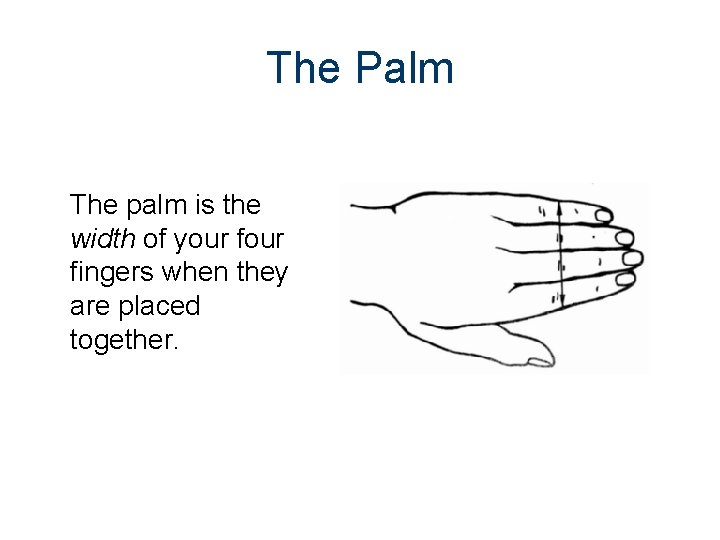 The Palm The palm is the width of your fingers when they are placed