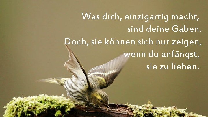 Was dich, einzigartig macht, sind deine Gaben. Doch, sie können sich nur zeigen, wenn