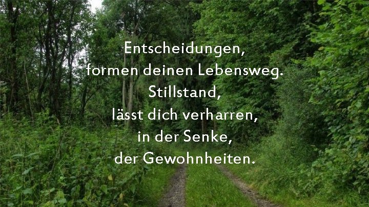 Entscheidungen, formen deinen Lebensweg. Stillstand, lässt dich verharren, in der Senke, der Gewohnheiten. 