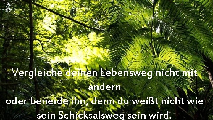 Vergleiche deinen Lebensweg nicht mit andern oder beneide ihn, denn du weißt nicht wie