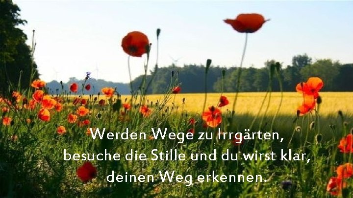Werden Wege zu Irrgärten, besuche die Stille und du wirst klar, deinen Weg erkennen.