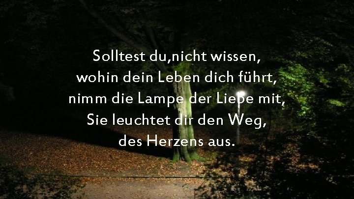 Solltest du, nicht wissen, wohin dein Leben dich führt, nimm die Lampe der Liebe