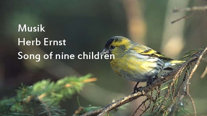 Musik Herb Ernst Song of nine children 