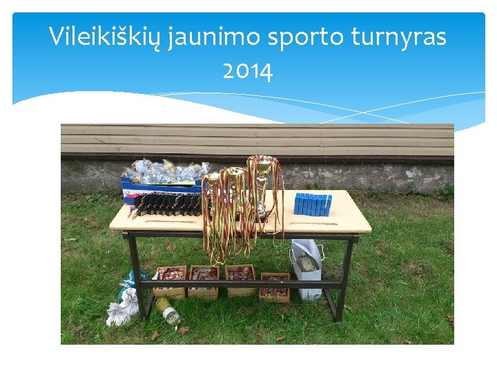 Vileikiškių jaunimo sporto turnyras 2014 