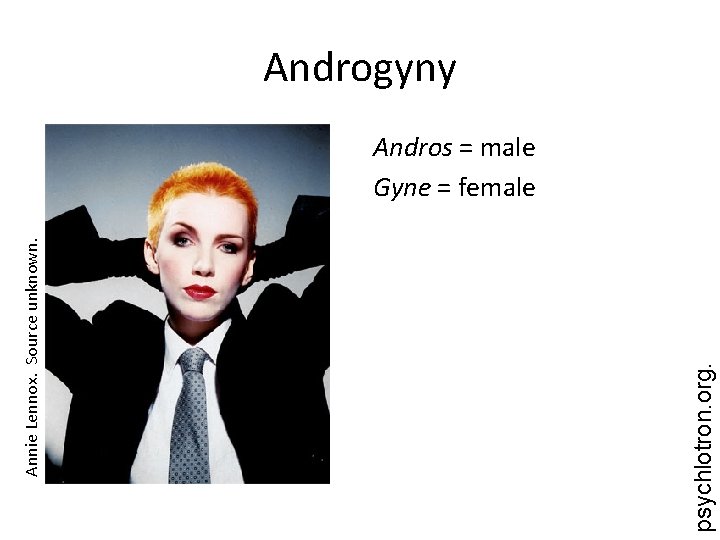 psychlotron. org. Annie Lennox. Source unknown. Androgyny Andros = male Gyne = female 