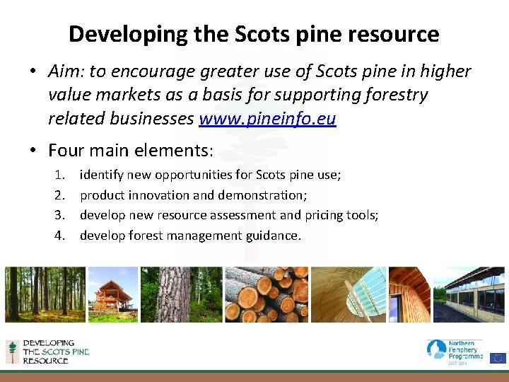 Developing the Scots pine resource • Aim: to encourage greater use of Scots pine