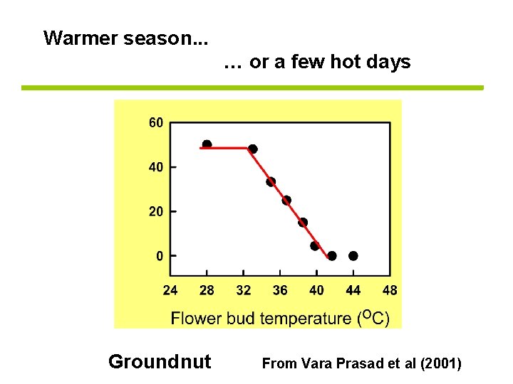 Warmer season. . . … or a few hot days Groundnut From Vara Prasad