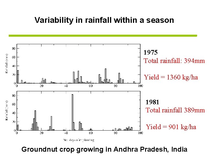 Variability in rainfall within a season 1975 Total rainfall: 394 mm Yield = 1360