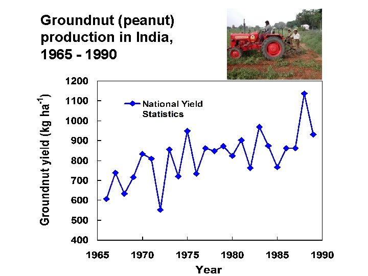 Groundnut (peanut) production in India, 1965 - 1990 