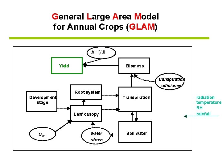 General Large Area Model for Annual Crops (GLAM) d(HI)/dt Yield Biomass transpiration efficiency Root