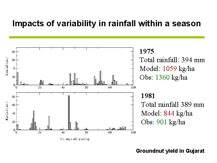 Impacts of variability in rainfall within a season 1975 Total rainfall: 394 mm Model: