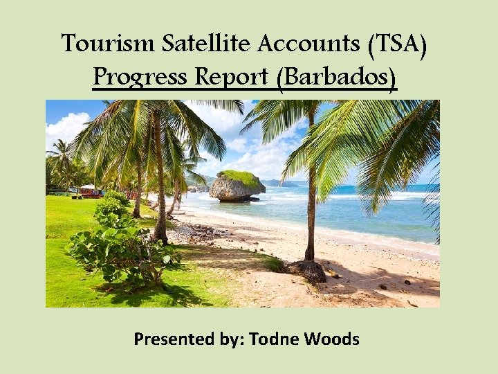 Tourism Satellite Accounts (TSA) Progress Report (Barbados) Presented by: Todne Woods 