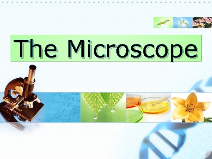 The Microscope 