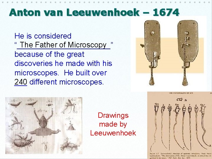 Anton van Leeuwenhoek – 1674 He is considered The Father of Microscopy “___________” because