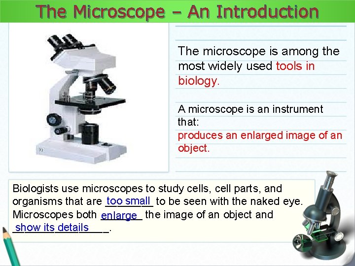 The Microscope – An Introduction The microscope is among the most widely used tools