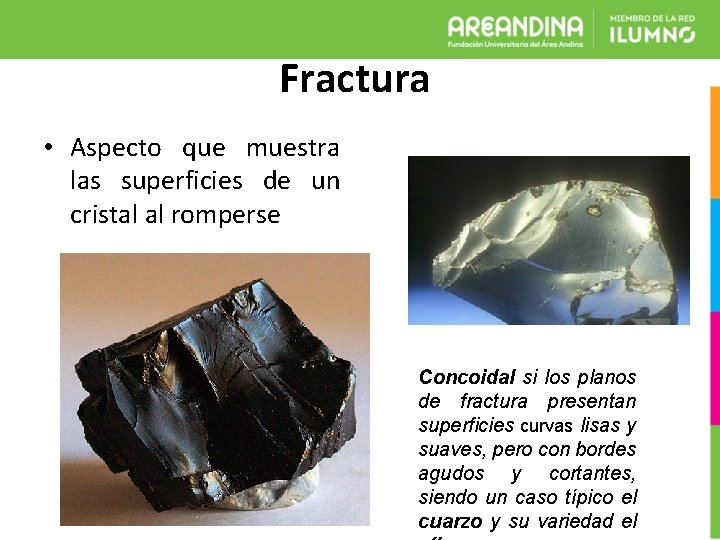 Fractura • Aspecto que muestra las superficies de un cristal al romperse Concoidal si
