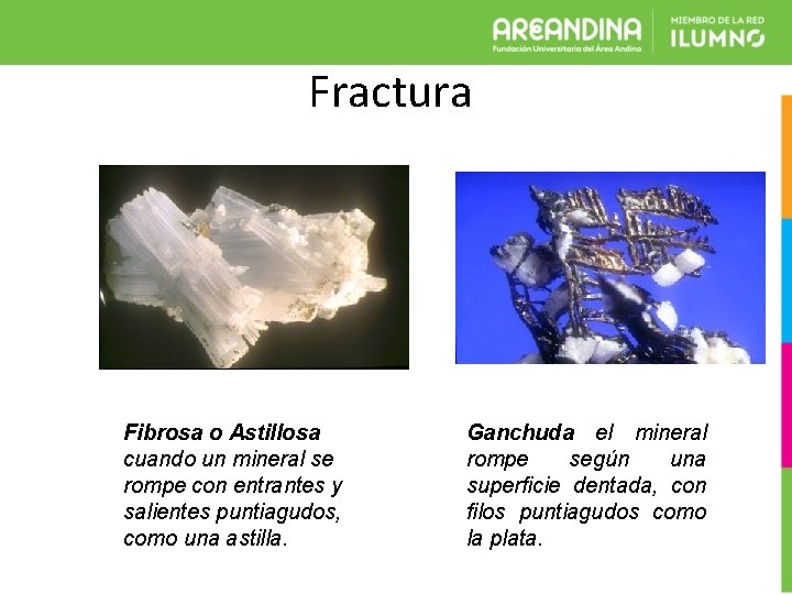 Fractura Fibrosa o Astillosa cuando un mineral se rompe con entrantes y salientes puntiagudos,