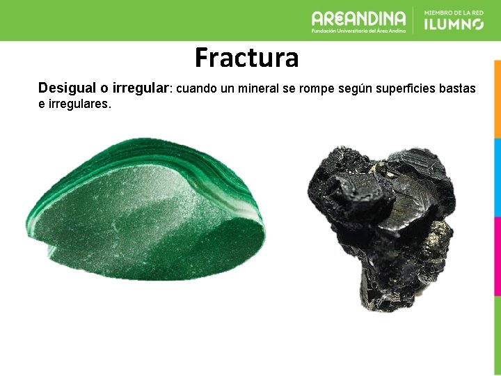 Fractura Desigual o irregular: cuando un mineral se rompe según superficies bastas e irregulares.