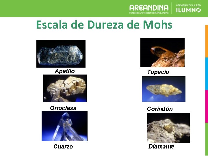 Escala de Dureza de Mohs Apatito Topacio Ortoclasa Corindón Cuarzo Diamante 