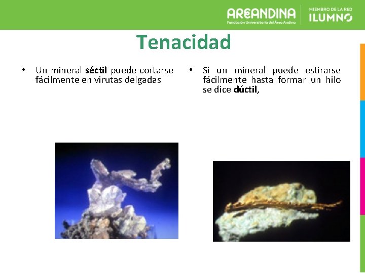 Tenacidad • Un mineral séctil puede cortarse fácilmente en virutas delgadas • Si un