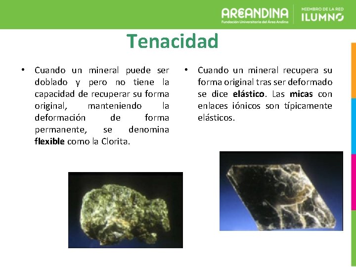 Tenacidad • Cuando un mineral puede ser doblado y pero no tiene la capacidad