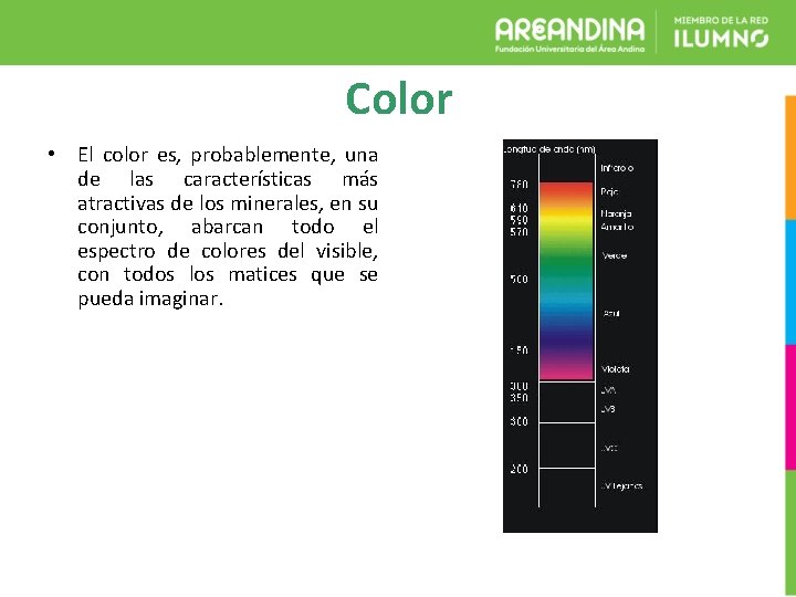 Color • El color es, probablemente, una de las características más atractivas de los