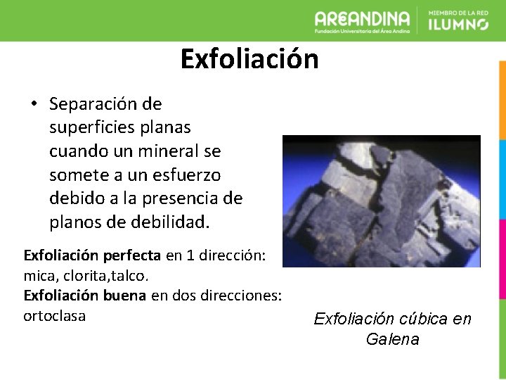 Exfoliación • Separación de superficies planas cuando un mineral se somete a un esfuerzo