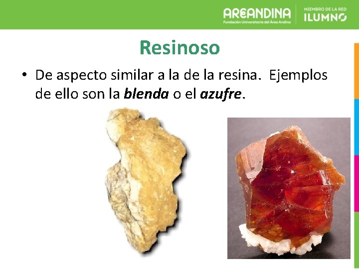 Resinoso • De aspecto similar a la de la resina. Ejemplos de ello son