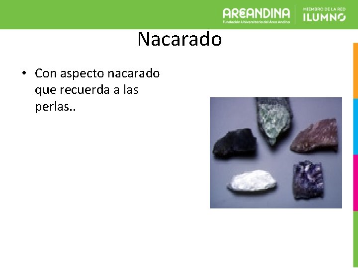 Nacarado • Con aspecto nacarado que recuerda a las perlas. . 