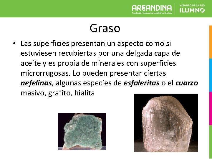 Graso • Las superficies presentan un aspecto como si estuviesen recubiertas por una delgada