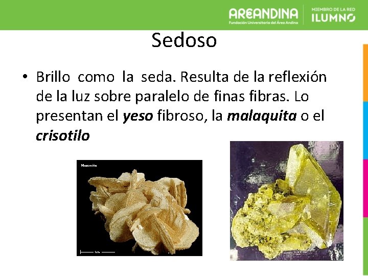 Sedoso • Brillo como la seda. Resulta de la reflexión de la luz sobre