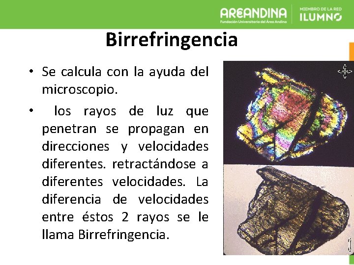 Birrefringencia • Se calcula con la ayuda del microscopio. • los rayos de luz