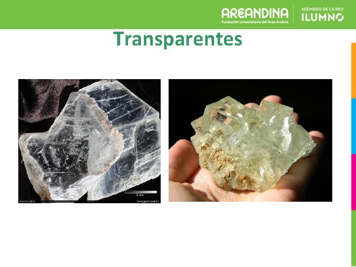 Transparentes 
