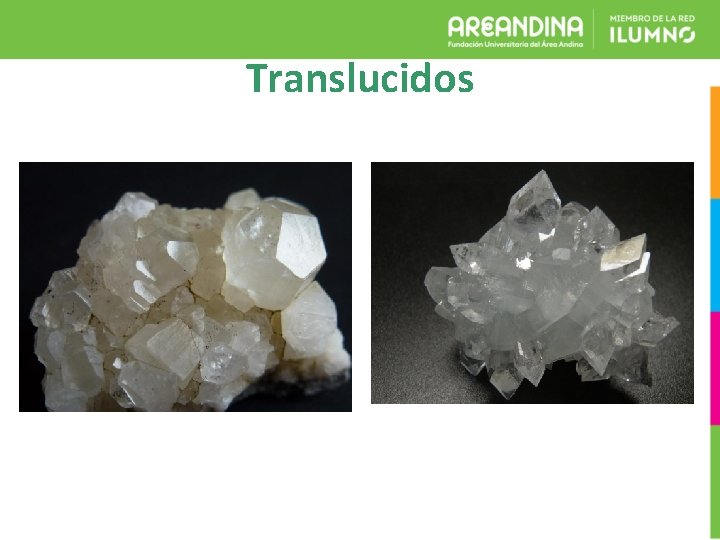 Translucidos 