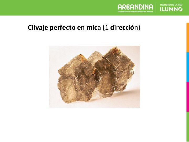 Clivaje perfecto en mica (1 dirección) 