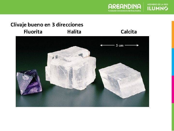 Clivaje bueno en 3 direcciones Fluorita Halita Calcita 