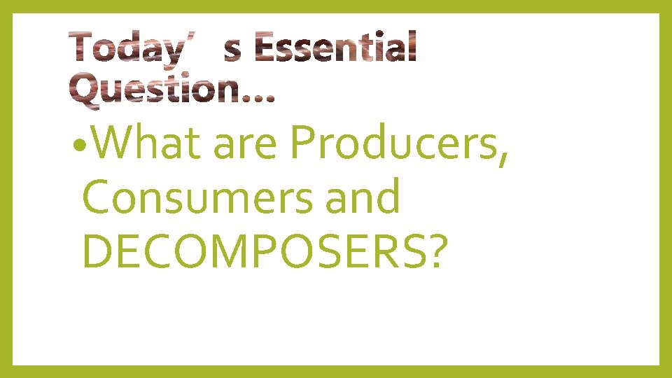  • What are Producers, Consumers and DECOMPOSERS? 