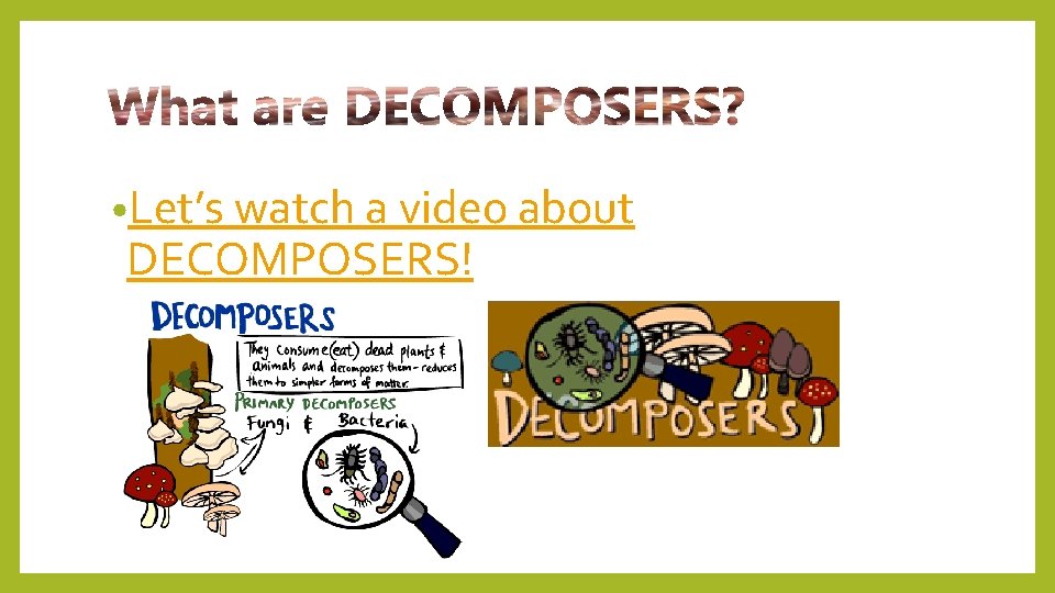  • Let’s watch a video about DECOMPOSERS! 