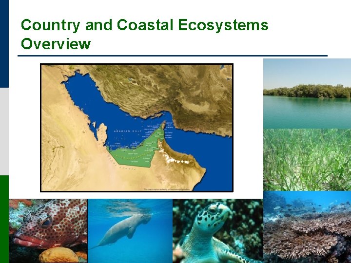 Country and Coastal Ecosystems Overview 