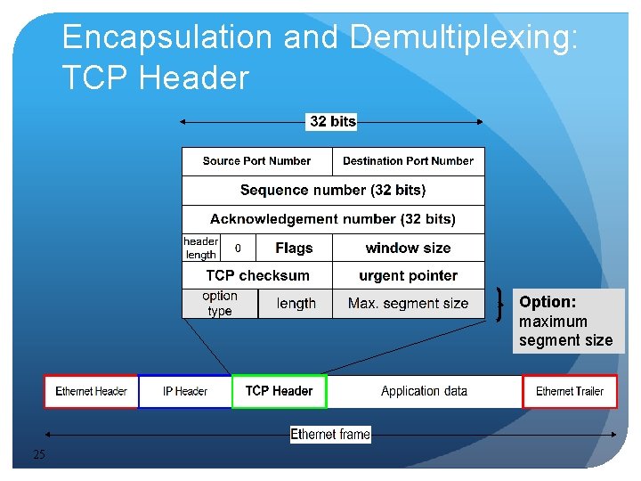 Encapsulation and Demultiplexing: TCP Header Option: maximum segment size 25 Encapsulation and Demultiplexing: TCP Header Option: maximum segment size 25